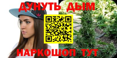 Альфа ПВП Можга