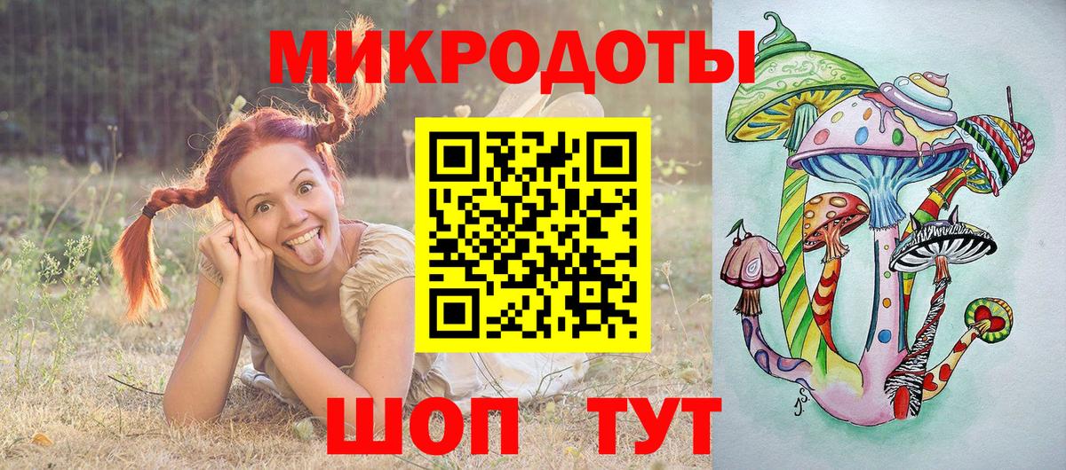 Черкесск  Галлюциногенные грибы Psilocybine cubensis  Вход с VPN 